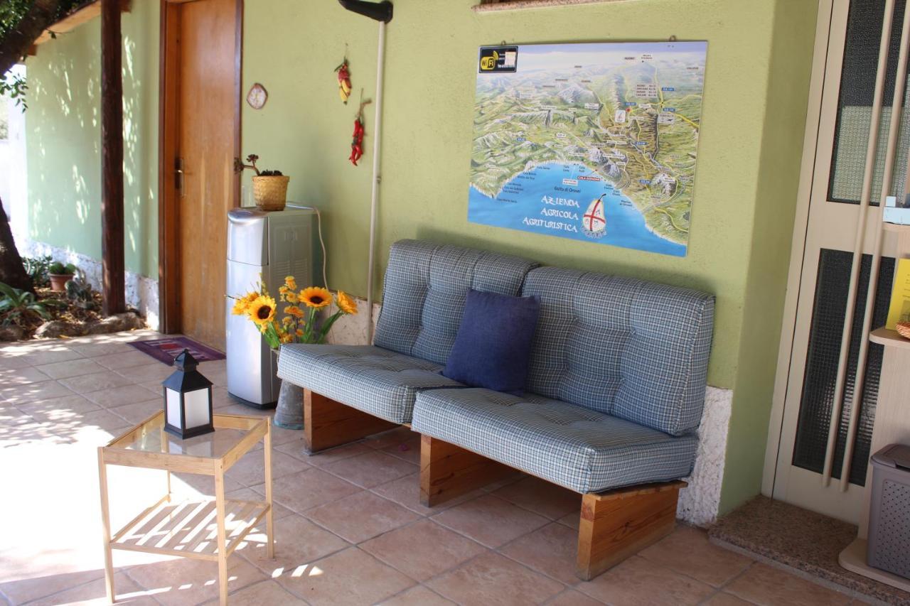 دورغالي Agriturismo Pira Pinta المظهر الخارجي الصورة