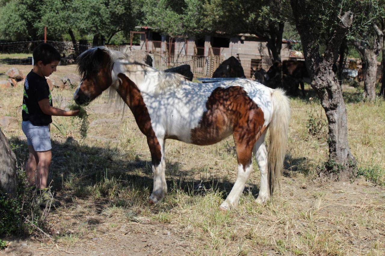 مبيت وإفطار دورغالي Agriturismo Pira Pinta المظهر الخارجي الصورة