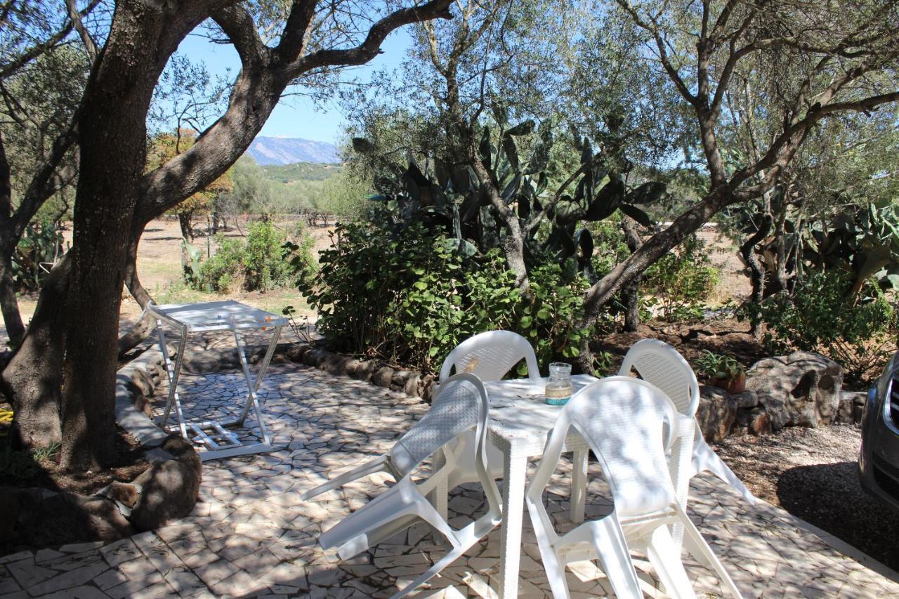 دورغالي Agriturismo Pira Pinta المظهر الخارجي الصورة