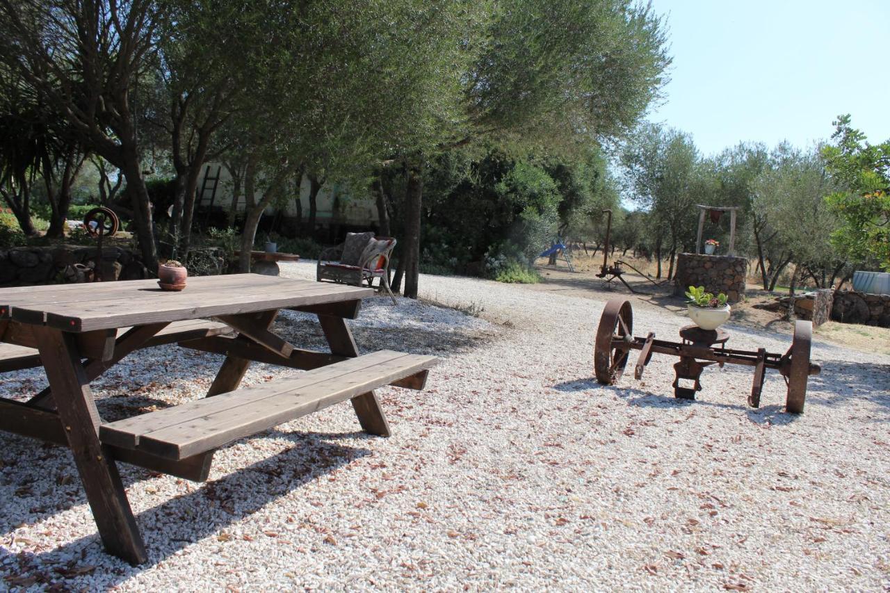 دورغالي Agriturismo Pira Pinta المظهر الخارجي الصورة