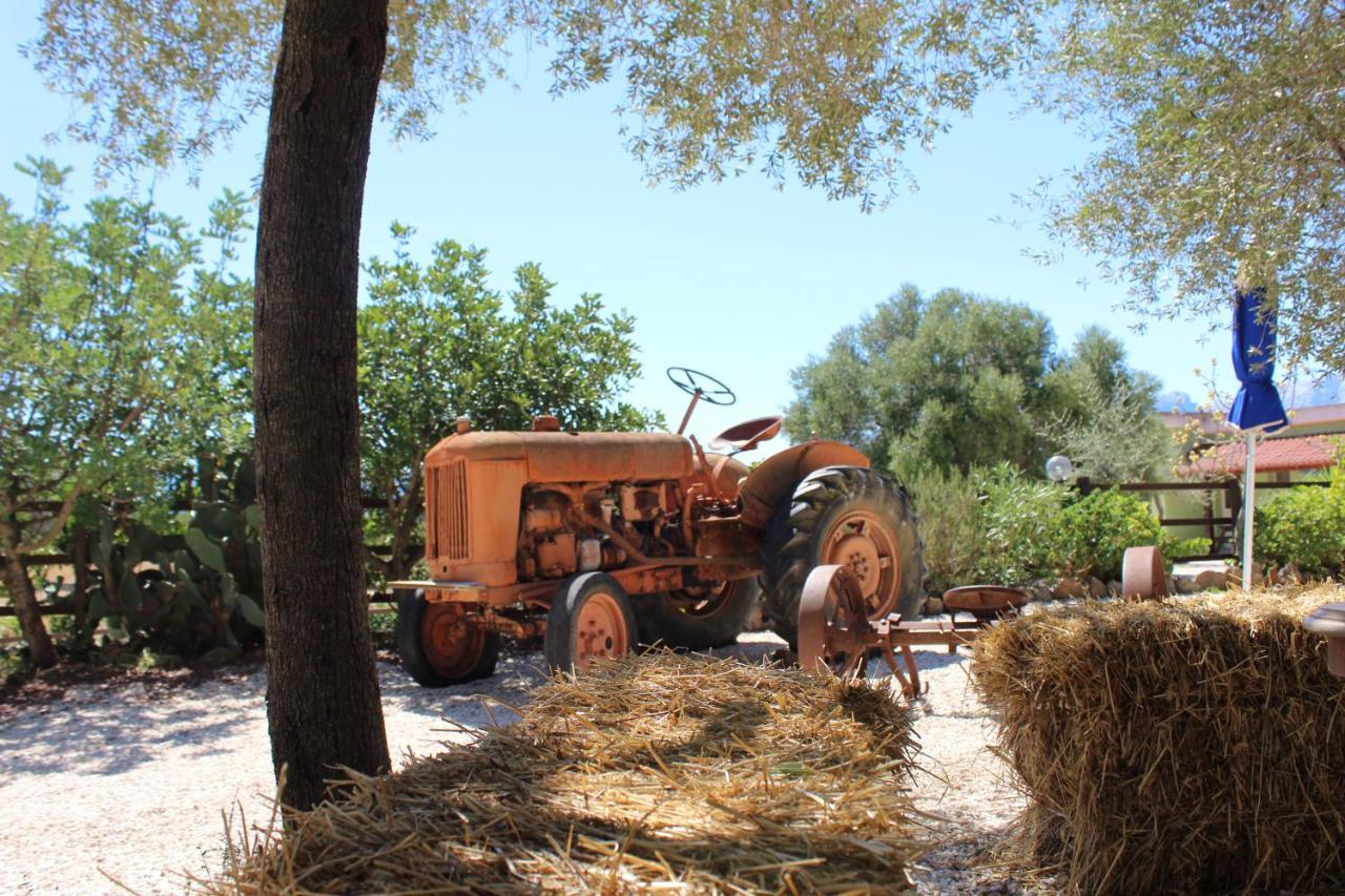 مبيت وإفطار دورغالي Agriturismo Pira Pinta المظهر الخارجي الصورة