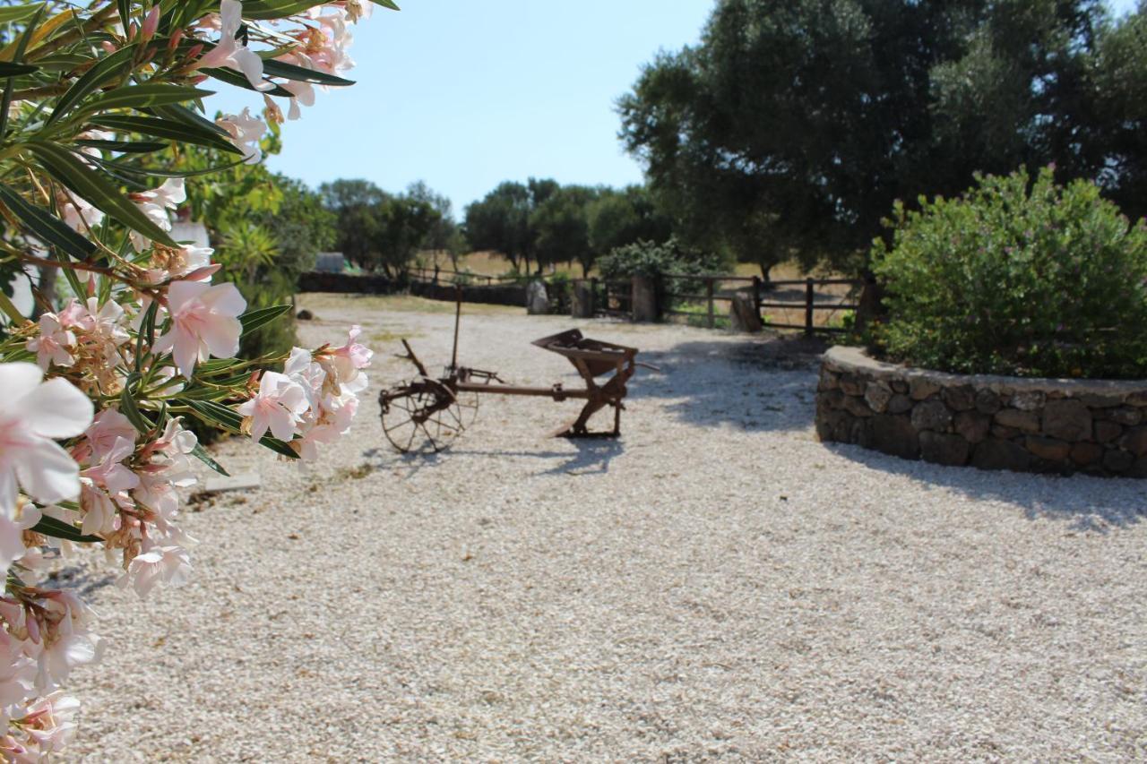 مبيت وإفطار دورغالي Agriturismo Pira Pinta المظهر الخارجي الصورة