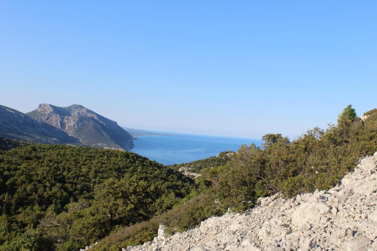 مبيت وإفطار دورغالي Agriturismo Pira Pinta المظهر الخارجي الصورة